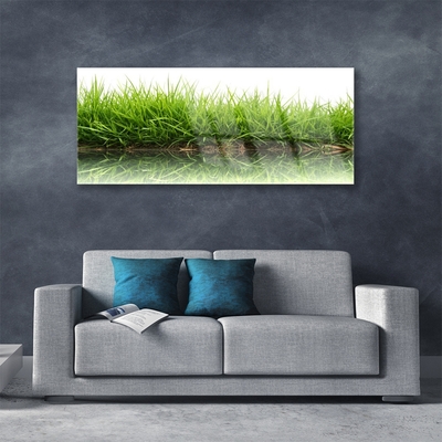 Obraz Akrylowy Trawa Woda Natura Roślina