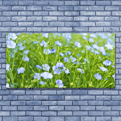 Obraz Akrylowy Kwiaty Trawa Roślina Natura