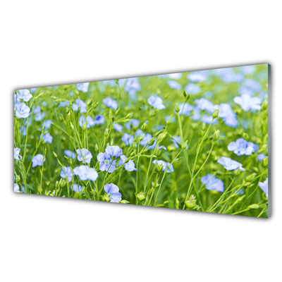 Obraz Akrylowy Kwiaty Trawa Roślina Natura
