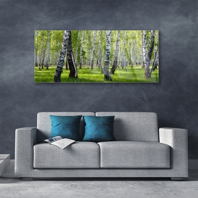 Obraz Akrylowy Las Drzewa Natura