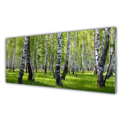 Obraz Akrylowy Las Drzewa Natura