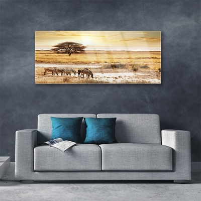 Obraz Akrylowy Zebry Safari Krajobraz
