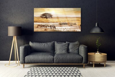 Obraz Akrylowy Zebry Safari Krajobraz