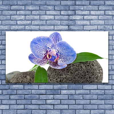 Obraz Akrylowy Kwiat Roślina Natura