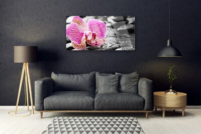 Obraz Akrylowy Kwiat Kamienie Orchidea