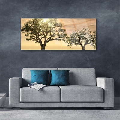 Obraz Akrylowy Drzewa Natura