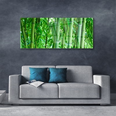 Obraz Akrylowy Bambus Łodyga Roślina