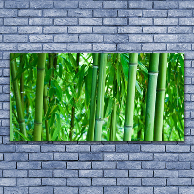 Obraz Akrylowy Bambus Łodyga Roślina