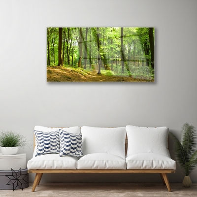Obraz Akrylowy Las Ścieżka Natura