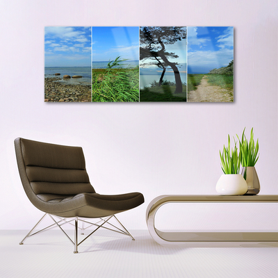 Obraz Akrylowy Plaża Drzewo Krajobraz