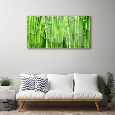 Obraz Akrylowy Bambus Łodyga Kwiat Roślina