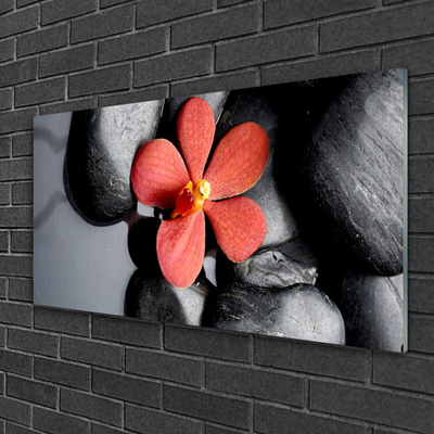 Obraz Akrylowy Kwiat Kamienie Sztuka