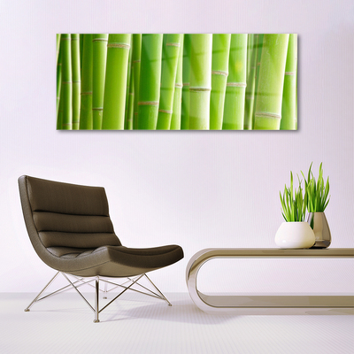 Obraz Akrylowy Bambus Łodyga Kwiat Roślina