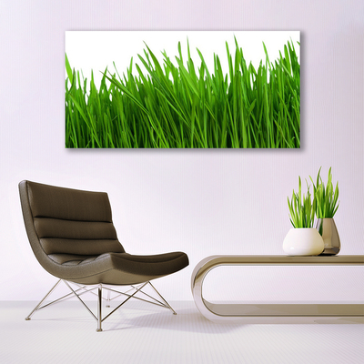 Obraz Akrylowy Trawa Roślina Natura