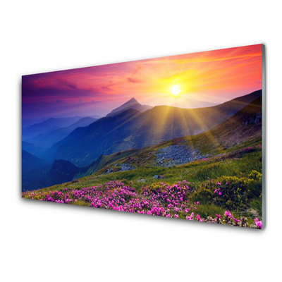 Obraz Akrylowy Góry Kwiat Łąka Krajobraz