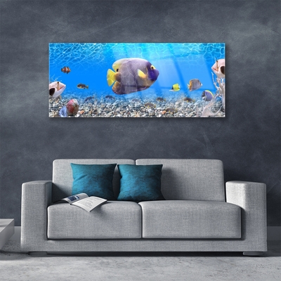 Obraz Akrylowy Ryba Natura
