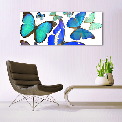 Obraz Akrylowy Motyle Natura