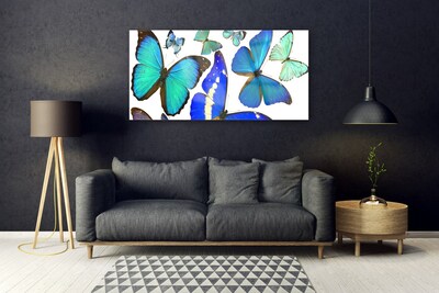 Obraz Akrylowy Motyle Natura