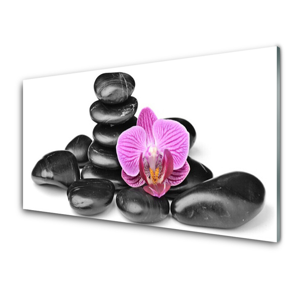 Obraz Akrylowy Kwiat Kamienie Sztuka