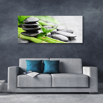Obraz Akrylowy Bambus Kamienie Roślina