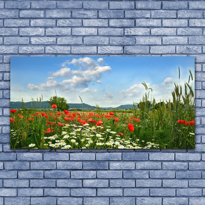 Obraz Akrylowy Łąka Kwiaty Natura Roślina