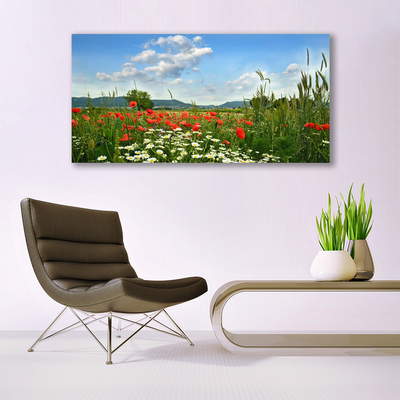 Obraz Akrylowy Łąka Kwiaty Natura Roślina