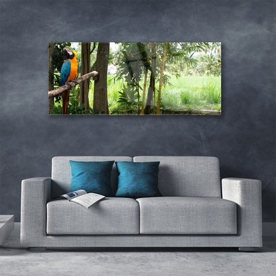 Obraz Akrylowy Papuga Drzewa Natura