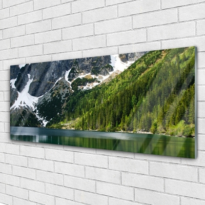Obraz Akrylowy Jezioro Las Góry Krajobraz