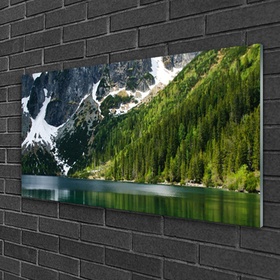 Obraz Akrylowy Jezioro Las Góry Krajobraz