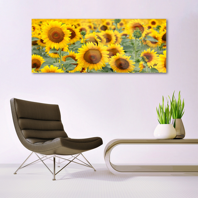 Obraz Akrylowy Słoneczniki Roślina Natura