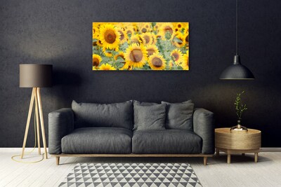 Obraz Akrylowy Słoneczniki Roślina Natura