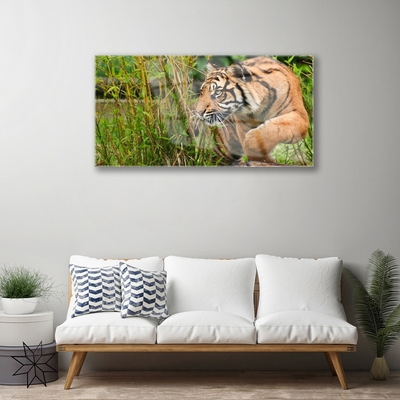 Obraz Akrylowy Tygrys Zwierzęta