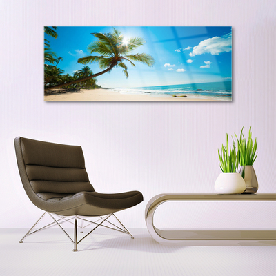 Obraz Akrylowy Palma Drzewo Plaża Krajobraz