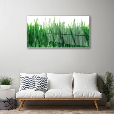 Obraz Akrylowy Trawa Przyroda Roślina