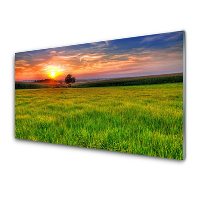 Obraz Akrylowy Łąka Słońce Przyroda