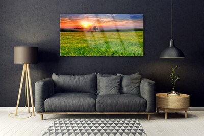 Obraz Akrylowy Łąka Słońce Przyroda