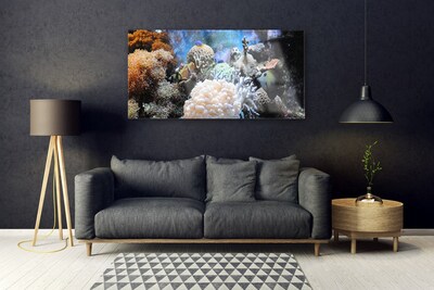 Obraz Akrylowy Rafa Koralowa Przyroda