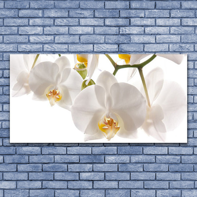 Obraz Akrylowy Kwiaty Roślina Przyroda