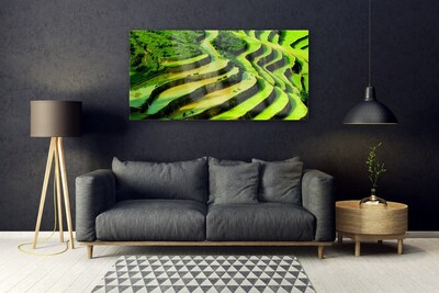 Obraz Akrylowy Pole Ryż Las Przyroda