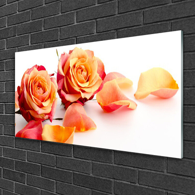 Obraz Akrylowy Róże Kwiaty Roślina