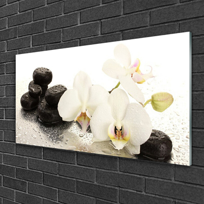 Obraz Akrylowy Kwiat Kamienie Roślina