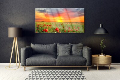Obraz Akrylowy Maki Słońce Roślina Natura