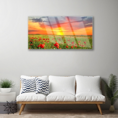 Obraz Akrylowy Maki Słońce Roślina Natura