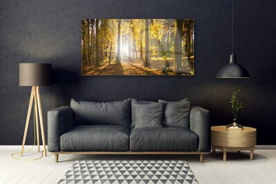 Obraz Akrylowy Las Liście Roślina Natura