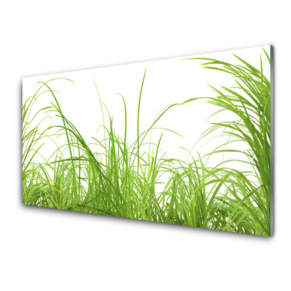 Obraz Akrylowy Trawa Roślina Przyroda