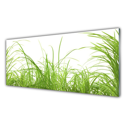 Obraz Akrylowy Trawa Roślina Przyroda