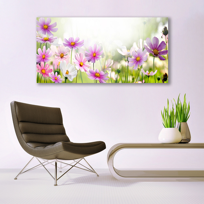 Obraz Akrylowy Kwiaty Roślina Przyroda