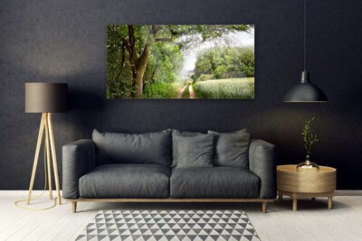 Obraz Akrylowy Drzewa Ścieżka Natura