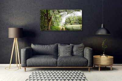Obraz Akrylowy Drzewa Ścieżka Natura