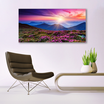 Obraz Akrylowy Góra Łąka Słońce Krajobraz